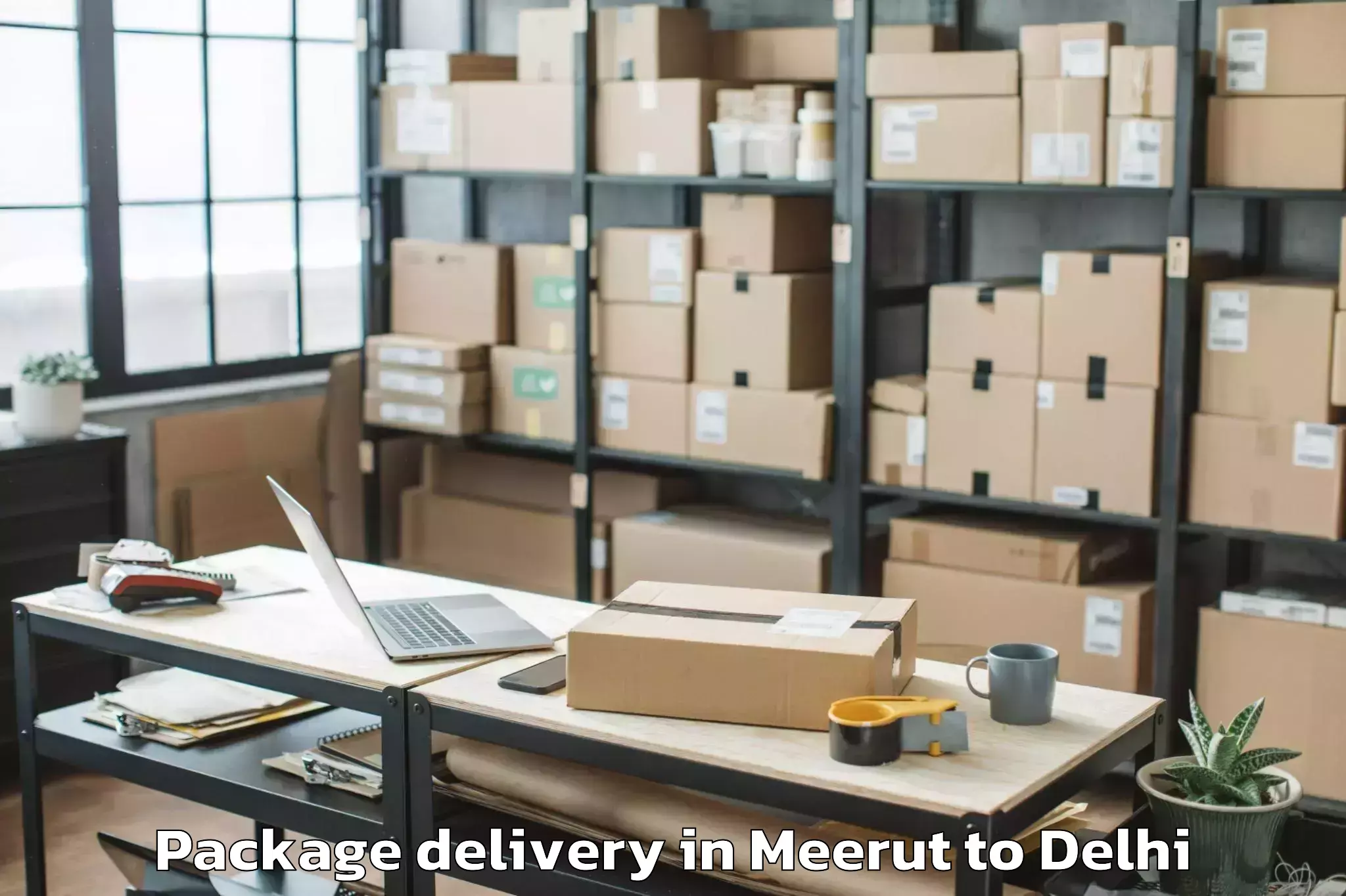 Professional Meerut to Najafgarh Package Delivery